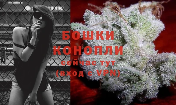 крисы Беломорск